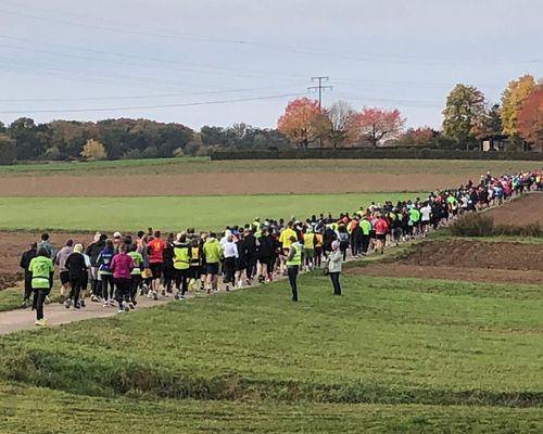 50. Schönbuchlauf in Hildrizhausen