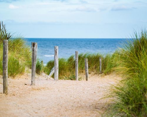 Urlaubszeit Sommer 2025: WLV-Geschäftsstelle nur eingeschränkt erreichbar