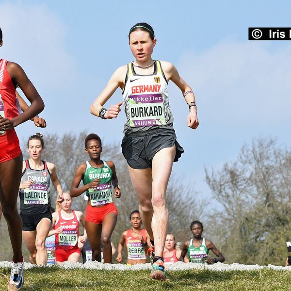 Cross-Weltmeisterschaften am 30. März 2019 in Aarhus / DEN